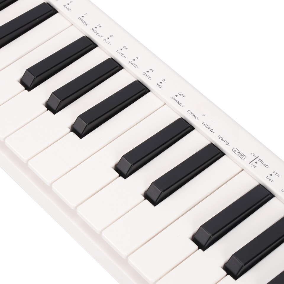 25 Tuşlu MIDI Kontrol Cihazı,  - A Musical Instrument With Keys incelemesi ve fiyatı