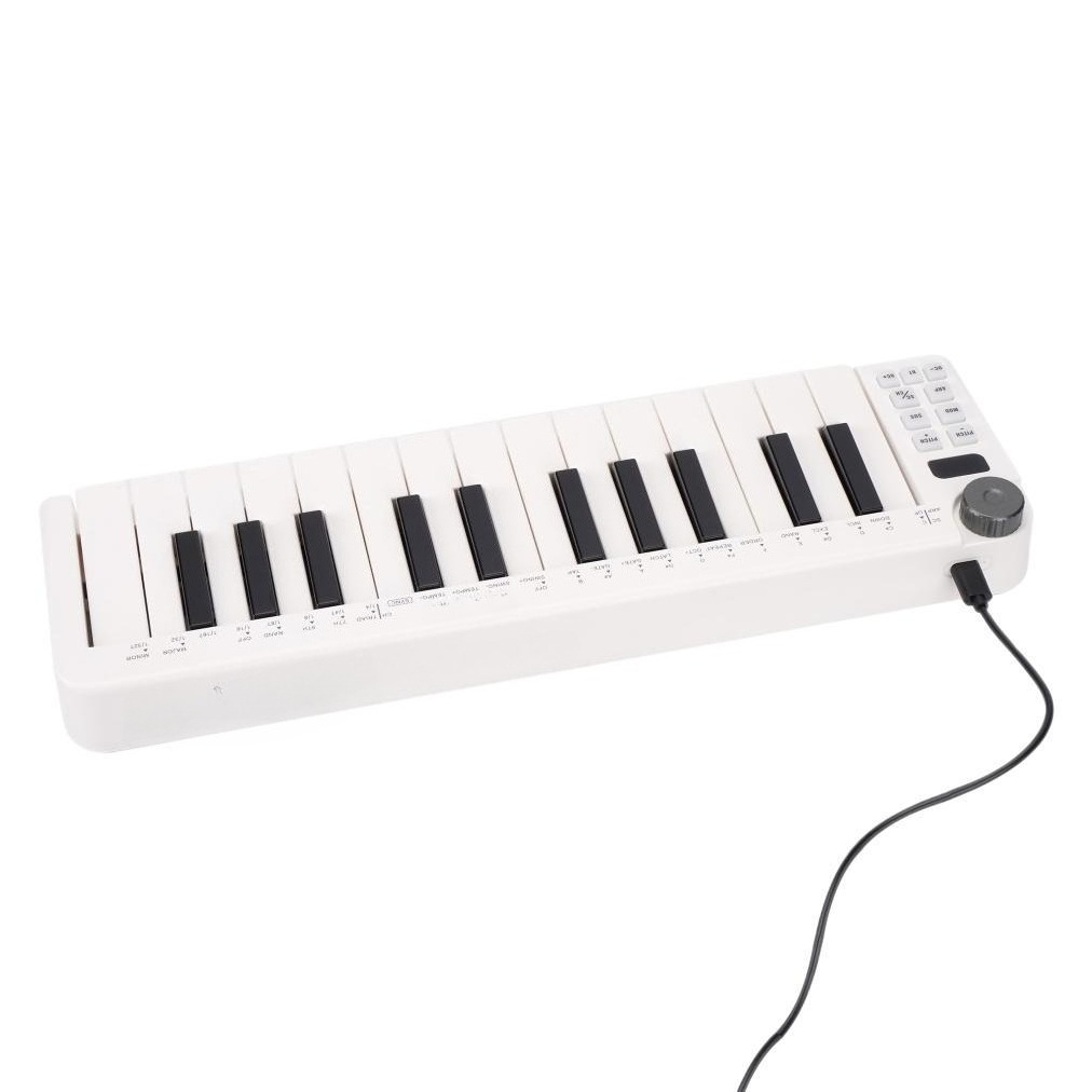 25 Tuşlu MIDI Kontrol Cihazı,  - A Musical Instrument With Keys incelemesi ve fiyatı