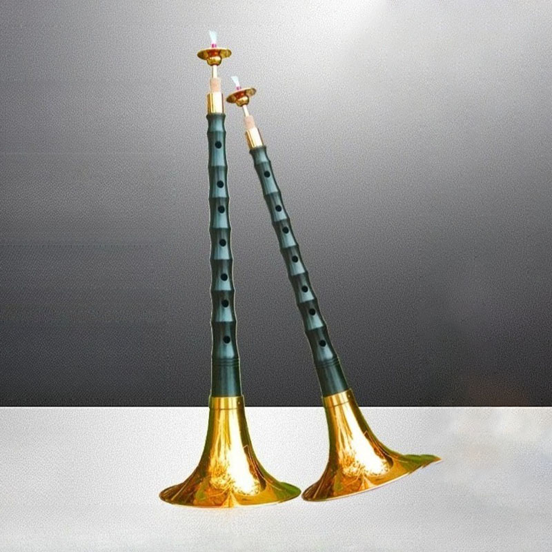 Çin Suona Yetişkinler İçin Baş - Bagpipe Practice Chanter incelemesi ve fiyatı