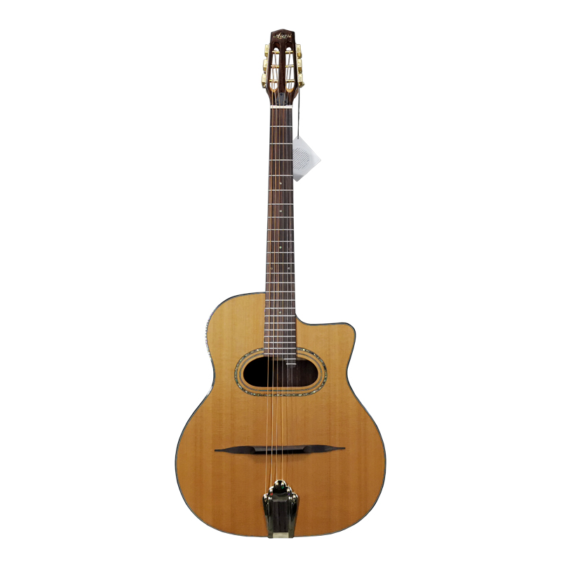 Masif Sedir Ağacı Archtop D Se - Dobro Resonator Guitar incelemesi ve fiyatı